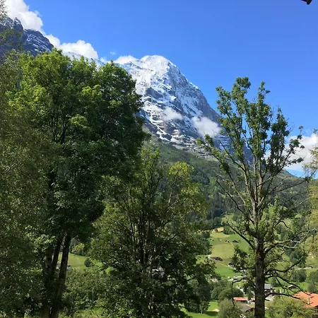 Im Chehr By Interhome Apartman Grindelwald
