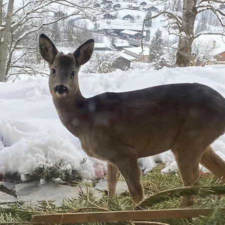 Im Chehr By Interhome *